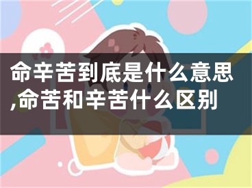命辛苦到底是什么意思,命苦和辛苦什么区别
