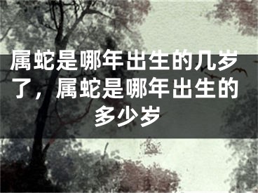 属蛇是哪年出生的几岁了,属蛇是哪年出生的多少岁