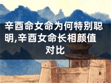 辛酉命女命为何特别聪明,辛酉女命长相颜值对比