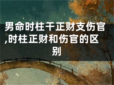 男命时柱干正财支伤官,时柱正财和伤官的区别