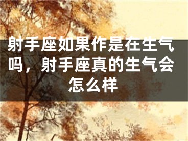 射手座如果作是在生气吗，射手座真的生气会怎么样