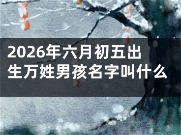 2026年六月初五出生万姓男孩名字叫什么