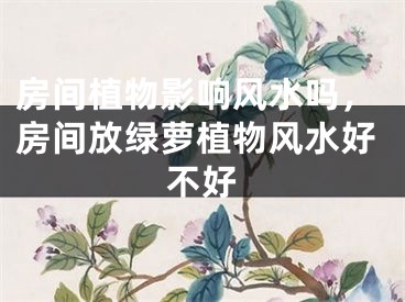 房间植物影响风水吗，房间放绿萝植物风水好不好