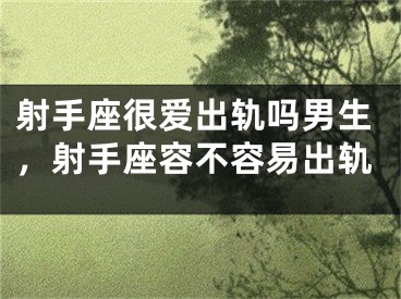 射手座很爱出轨吗男生，射手座容不容易出轨