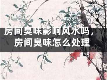 房间臭味影响风水吗，房间臭味怎么处理