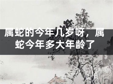 属蛇的今年几岁呀，属蛇今年多大年龄了