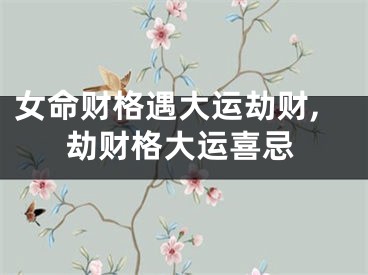 女命财格遇大运劫财,劫财格大运喜忌