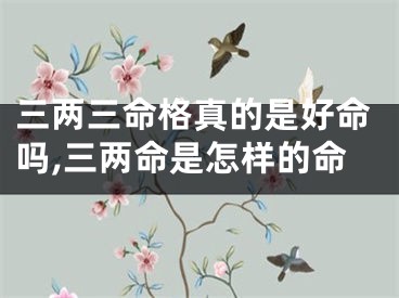 三两三命格真的是好命吗,三两命是怎样的命