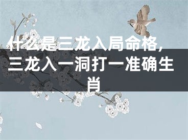什么是三龙入局命格,三龙入一洞打一准确生肖