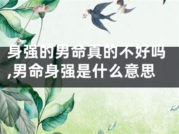 身强的男命真的不好吗,男命身强是什么意思