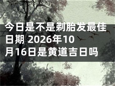 今日是不是剃胎发最佳日期 2026年10月16日是黄道吉日吗