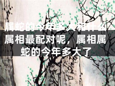 属蛇的今年多大和什么属相最配对呢,属相属蛇的今年多大了