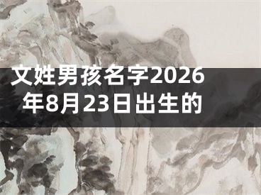 文姓男孩名字2026年8月23日出生的