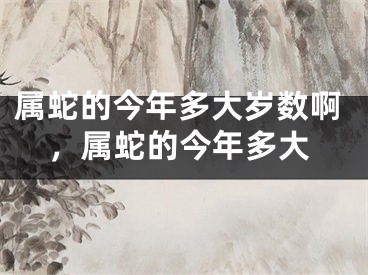 属蛇的今年多大岁数啊，属蛇的今年多大