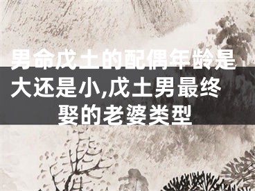 男命戊土的配偶年龄是大还是小,戊土男最终娶的老婆类型