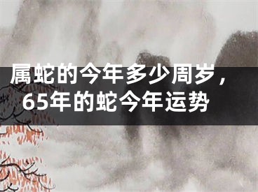 属蛇的今年多少周岁，65年的蛇今年运势
