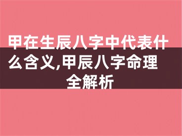 甲在生辰八字中代表什么含义,甲辰八字命理全解析