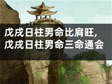 戊戌日柱男命比肩旺,戊戌日柱男命三命通会