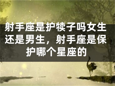 射手座是护犊子吗女生还是男生，射手座是保护哪个星座的