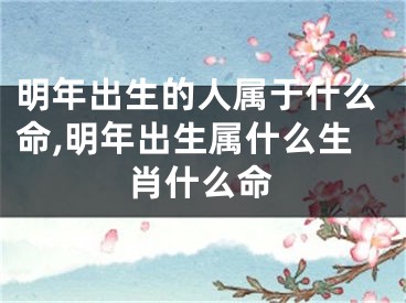 明年出生的人属于什么命,明年出生属什么生肖什么命
