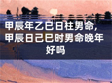 甲辰年乙巳日柱男命,甲辰日己巳时男命晚年好吗