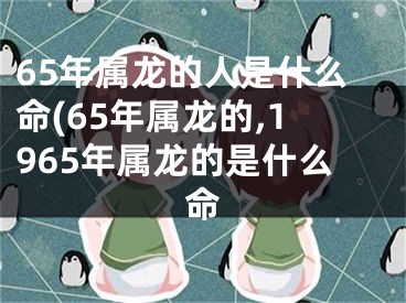 65年属龙的人是什么命(65年属龙的,1965年属龙的是什么命