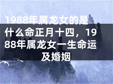1988年属龙女的是什么命正月十四,1988年属龙女一生命运及婚姻
