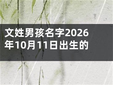 文姓男孩名字2026年10月11日出生的