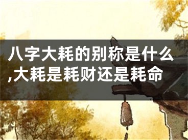 八字大耗的别称是什么,大耗是耗财还是耗命