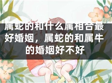属蛇的和什么属相合最好婚姻，属蛇的和属牛的婚姻好不好