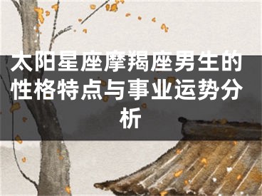 太阳星座摩羯座男生的性格特点与事业运势分析