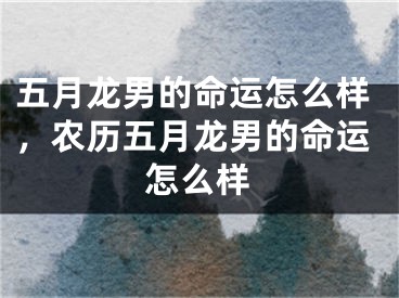 五月龙男的命运怎么样,农历五月龙男的命运怎么样