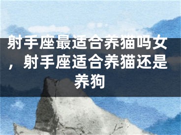 射手座最适合养猫吗女，射手座适合养猫还是养狗