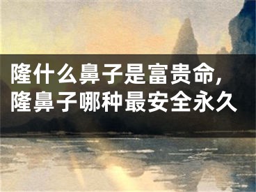 隆什么鼻子是富贵命,隆鼻子哪种最安全永久