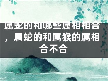属蛇的和哪些属相相合，属蛇的和属猴的属相合不合