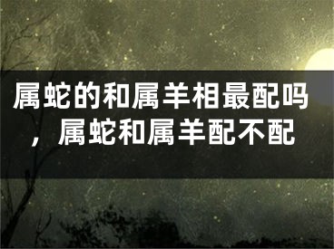 属蛇的和属羊相最配吗，属蛇和属羊配不配