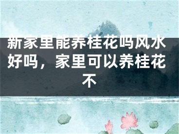 新家里能养桂花吗风水好吗，家里可以养桂花不