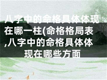 八字中的命格具体体现在哪一柱(命格格局表,八字中的命格具体体现在哪些方面