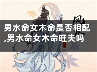 男水命女木命是否相配,男水命女木命旺夫吗