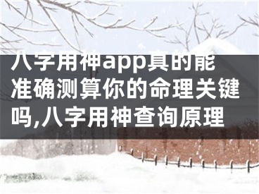 八字用神app真的能准确测算你的命理关键吗,八字用神查询原理