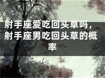 射手座爱吃回头草吗，射手座男吃回头草的概率