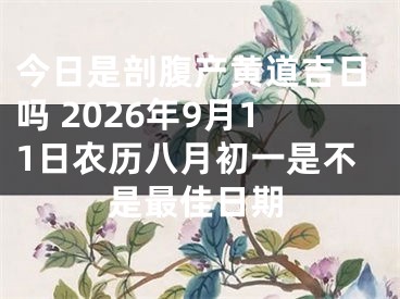 今日是剖腹产黄道吉日吗 2026年9月11日农历八月初一是不是最佳日期