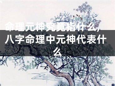 命理元神究竟指什么,八字命理中元神代表什么