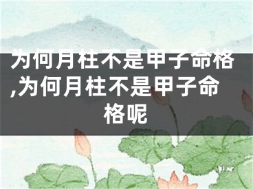 为何月柱不是甲子命格,为何月柱不是甲子命格呢