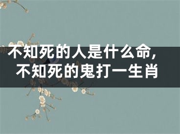 不知死的人是什么命,不知死的鬼打一生肖