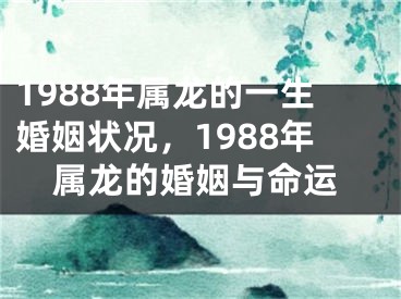 1988年属龙的一生婚姻状况,1988年属龙的婚姻与命运