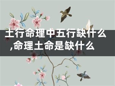 土行命理中五行缺什么,命理土命是缺什么