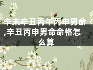 辛末辛丑丙午丙申男命,辛丑丙申男命命格怎么算