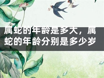 属蛇的年龄是多大,属蛇的年龄分别是多少岁