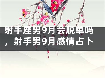 射手座男9月会脱单吗，射手男9月感情占卜